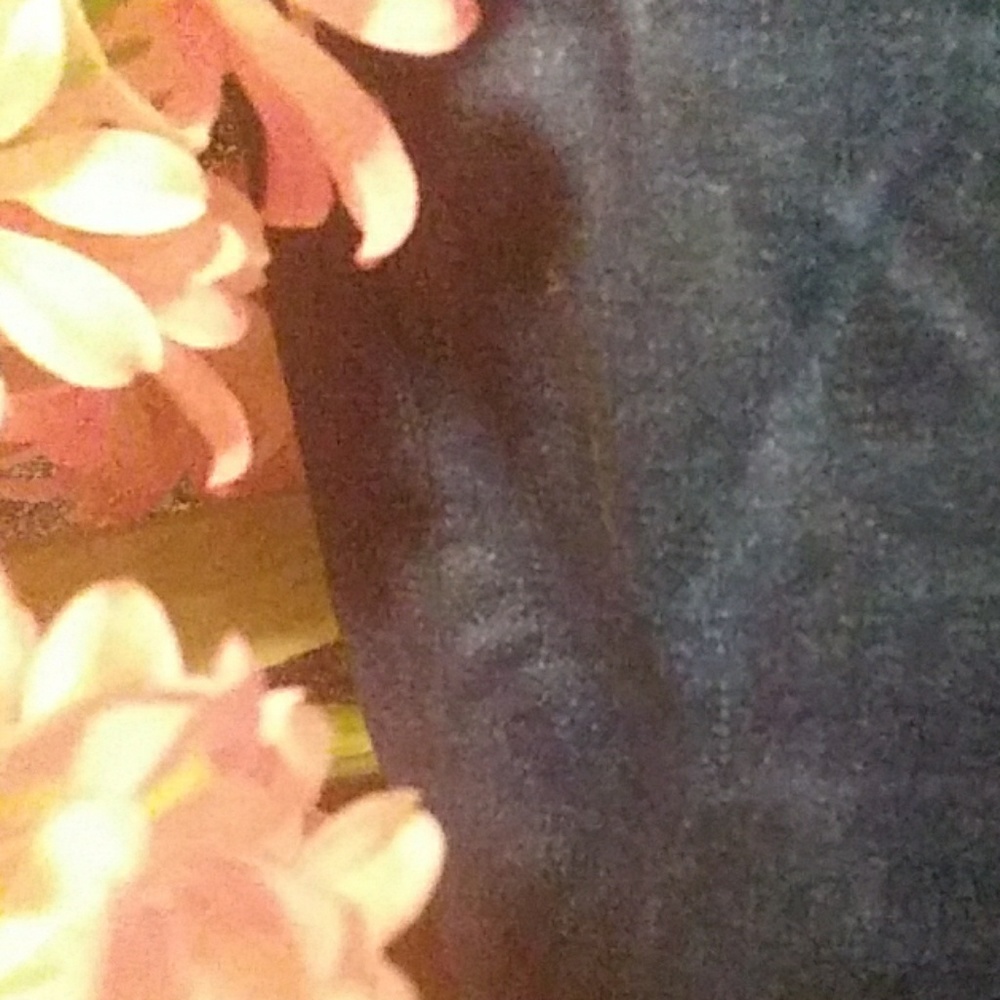 GENIE Jeans look leggings. NWOT